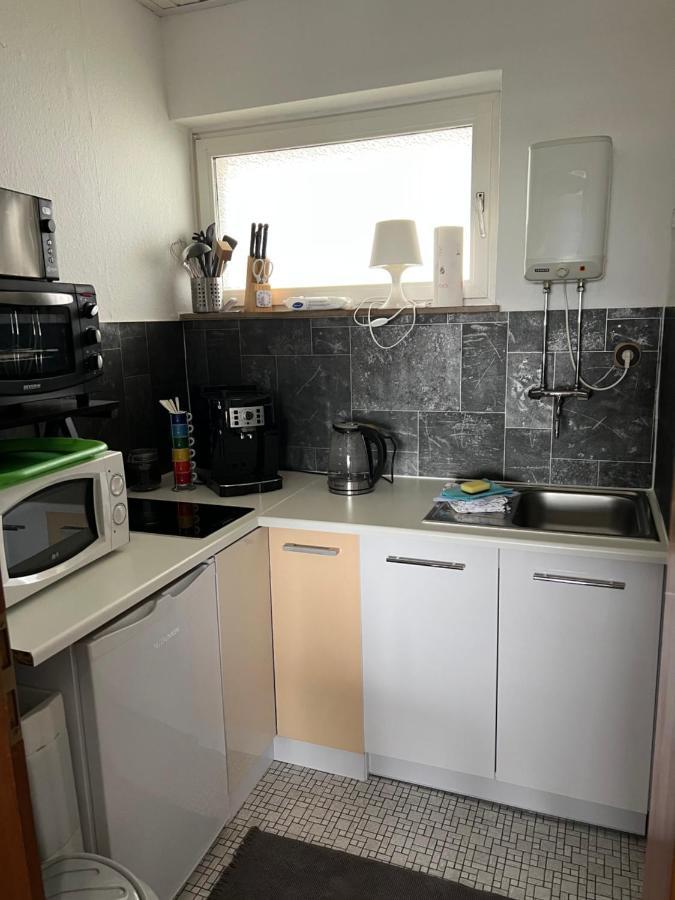 Julia Apartment Sankt Andreasberg Bagian luar foto