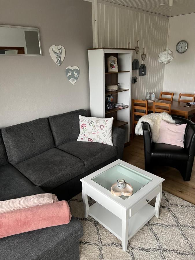 Julia Apartment Sankt Andreasberg Bagian luar foto